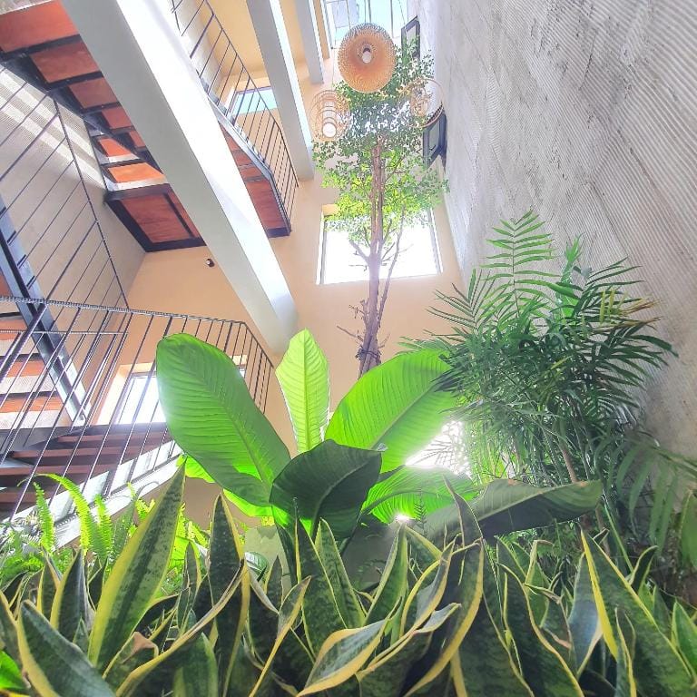 Cagina Boutique Hostel — 4