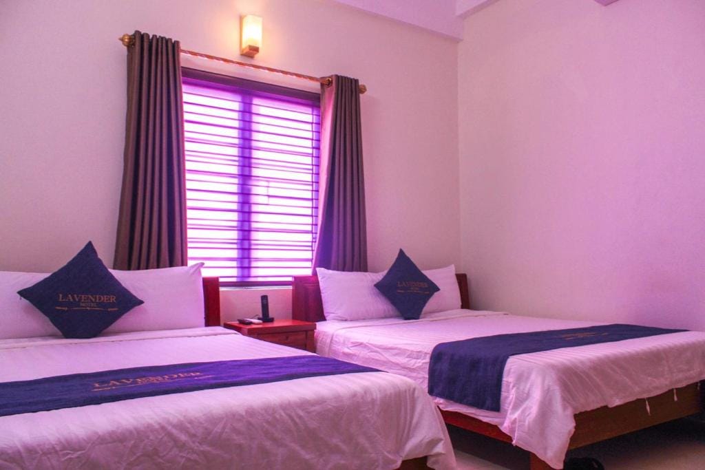 Lavender Hotel — 2