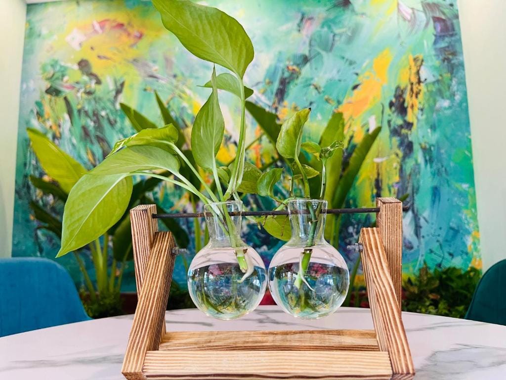 The Tray Hotel Hai Phong — 5