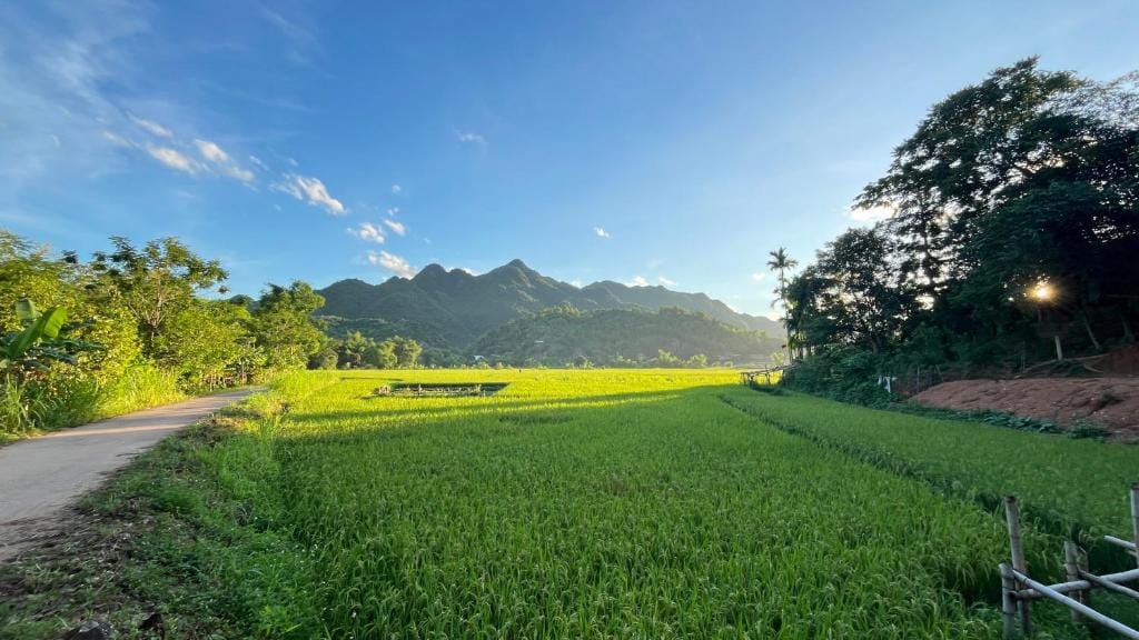 La Mai Chau Home — 5