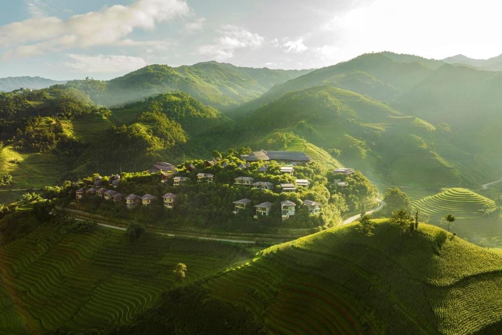 Garrya Mù Cang Chải — 3