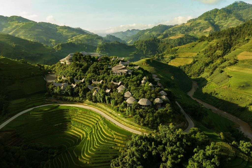 Garrya Mù Cang Chải — 4