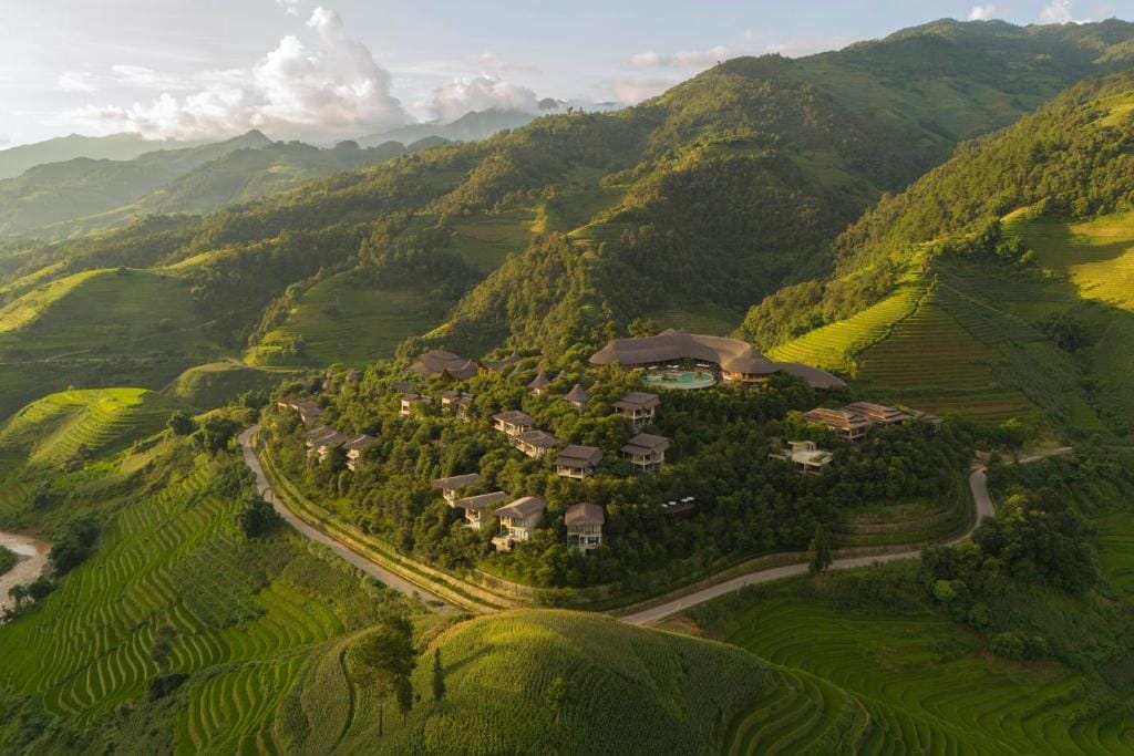 Garrya Mù Cang Chải — 5