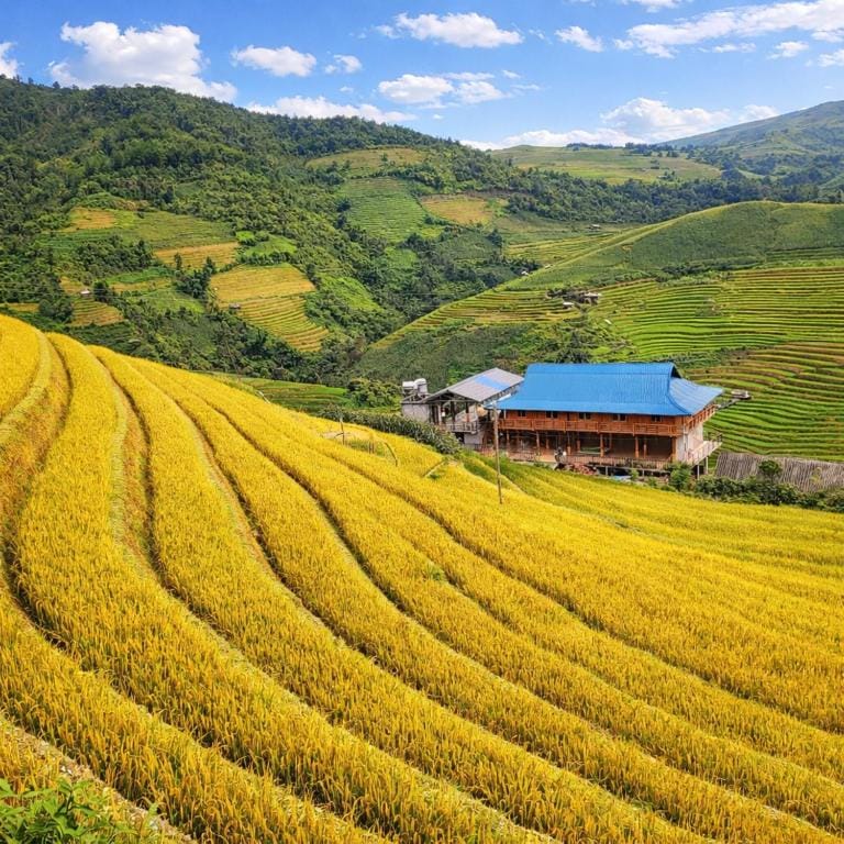 Pu Nhu Homestay