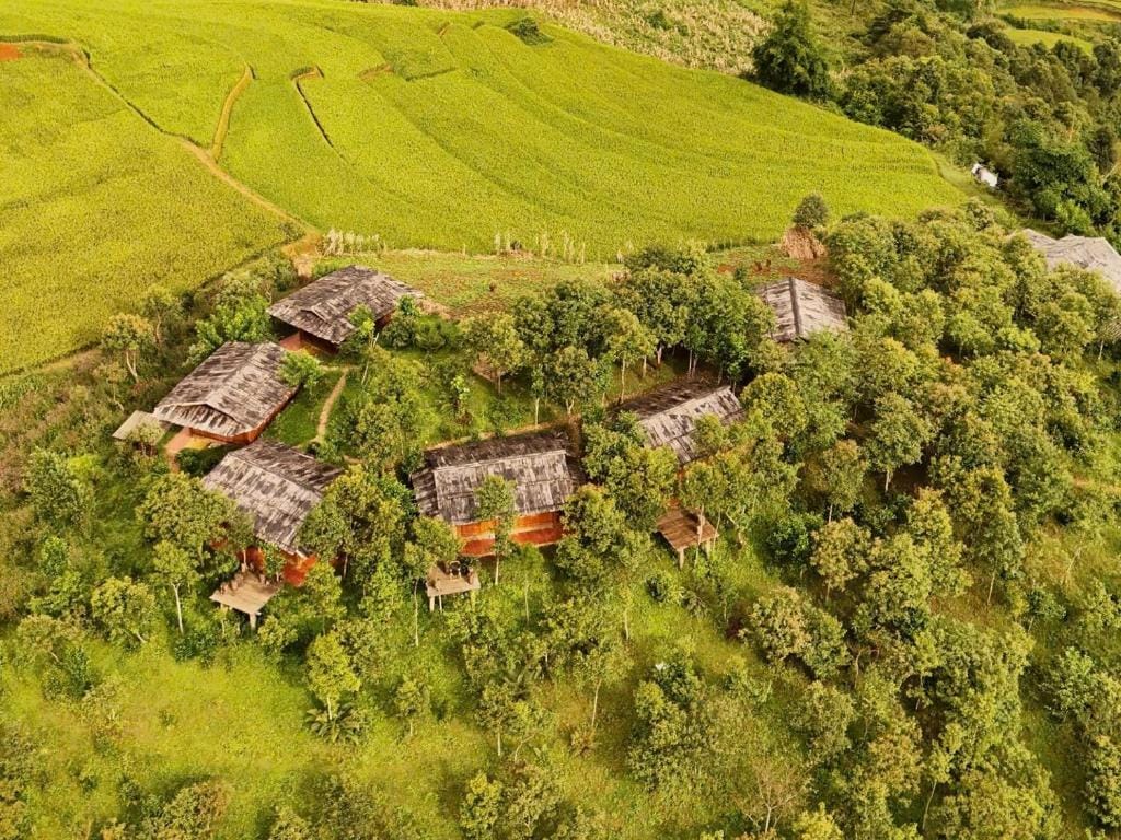See bungalow mu cang chai — 4