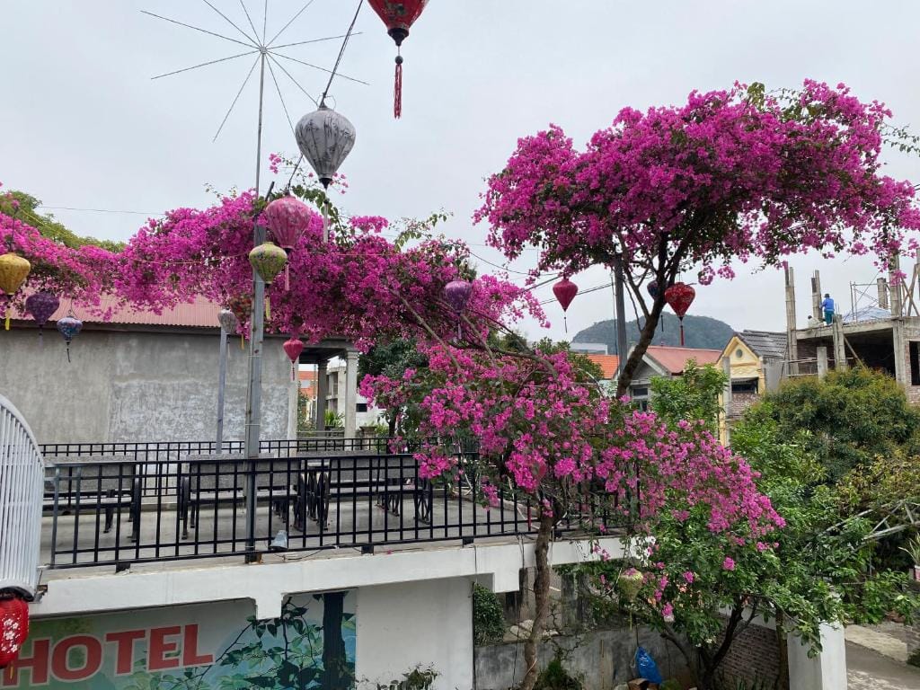 Elizabeth Hotel Tam Coc — 5