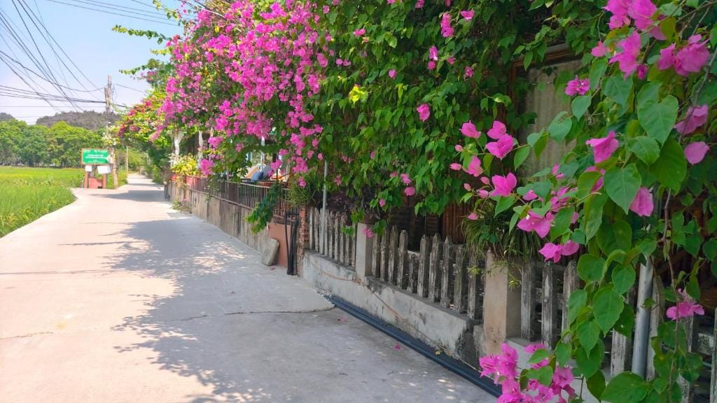 Tam Coc Sunshine Homestay — 2
