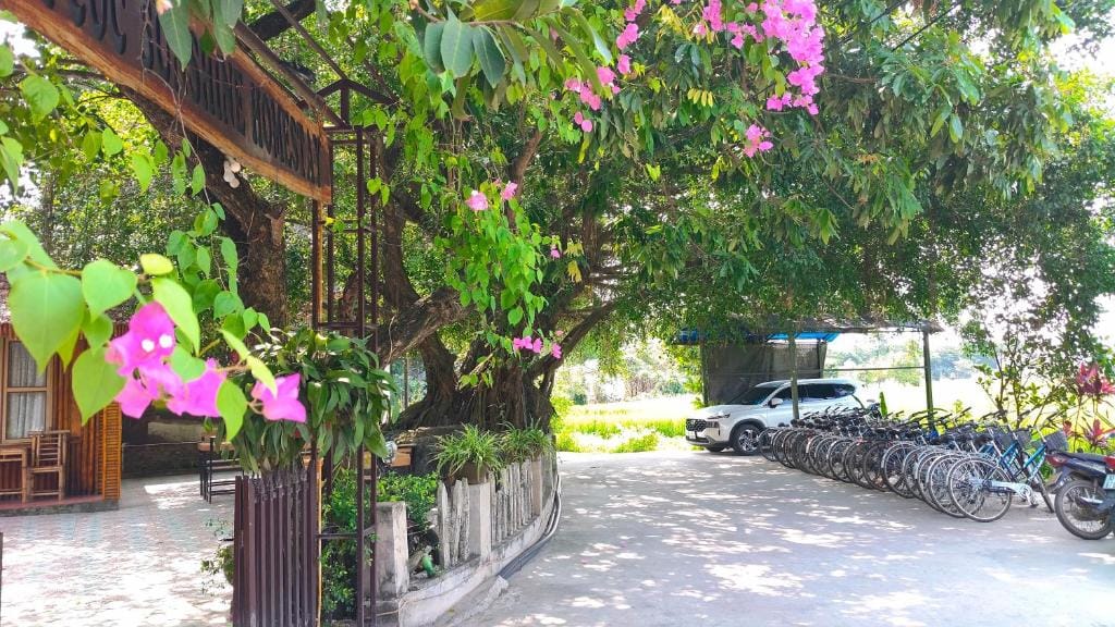 Tam Coc Sunshine Homestay — 3