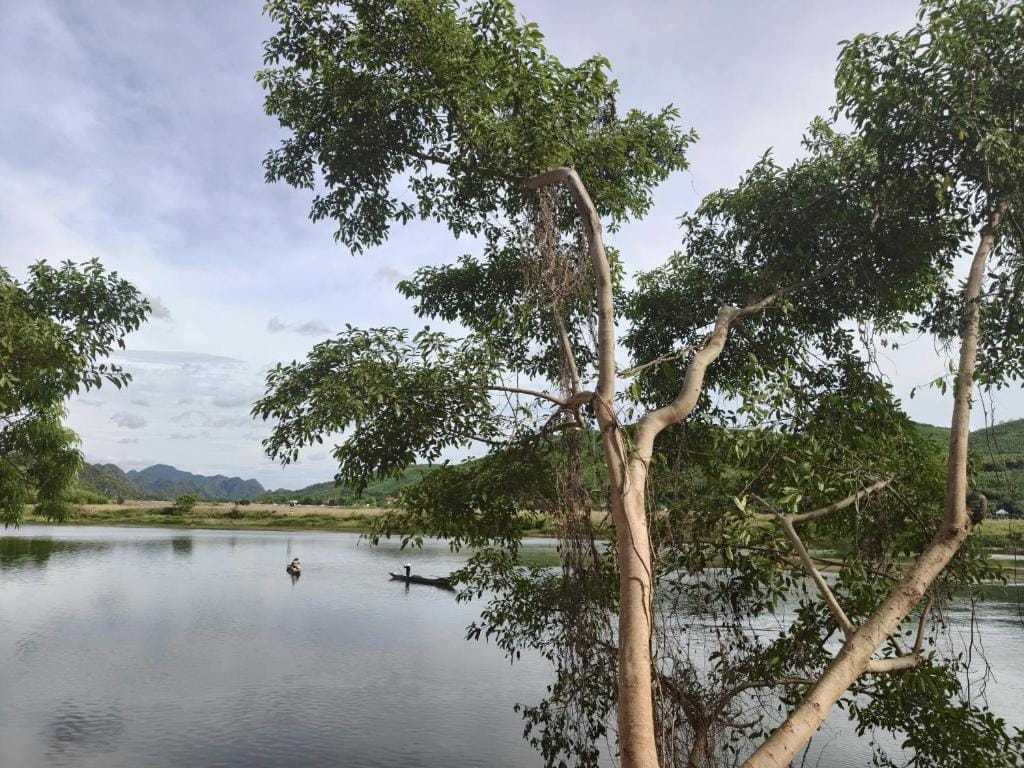 Hugo Homestay — 5