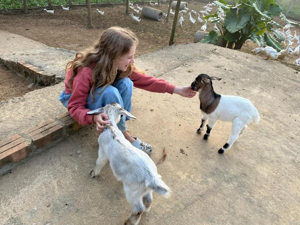 Phong Nha Mini Farm - Nguyen Shack — 1