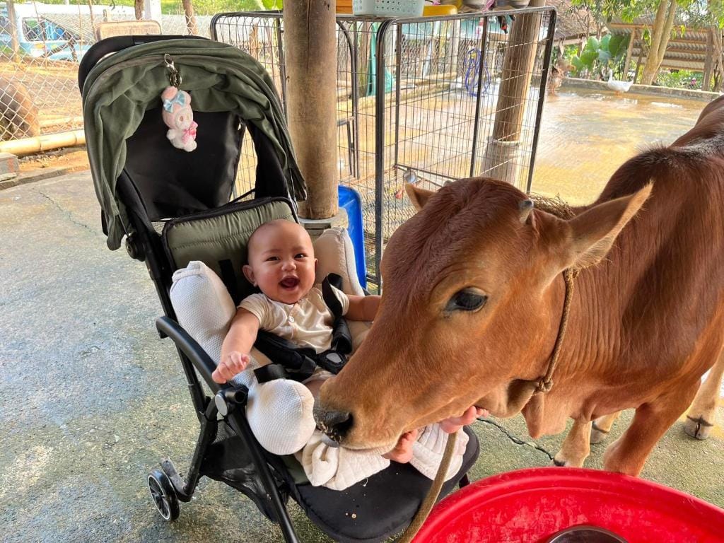 Phong Nha Mini Farm - Nguyen Shack — 4