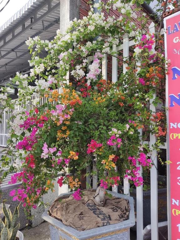 Nhà Nghỉ Vườn Oải Hương LAVENDER GARDEN GUEST HOUSE — 1