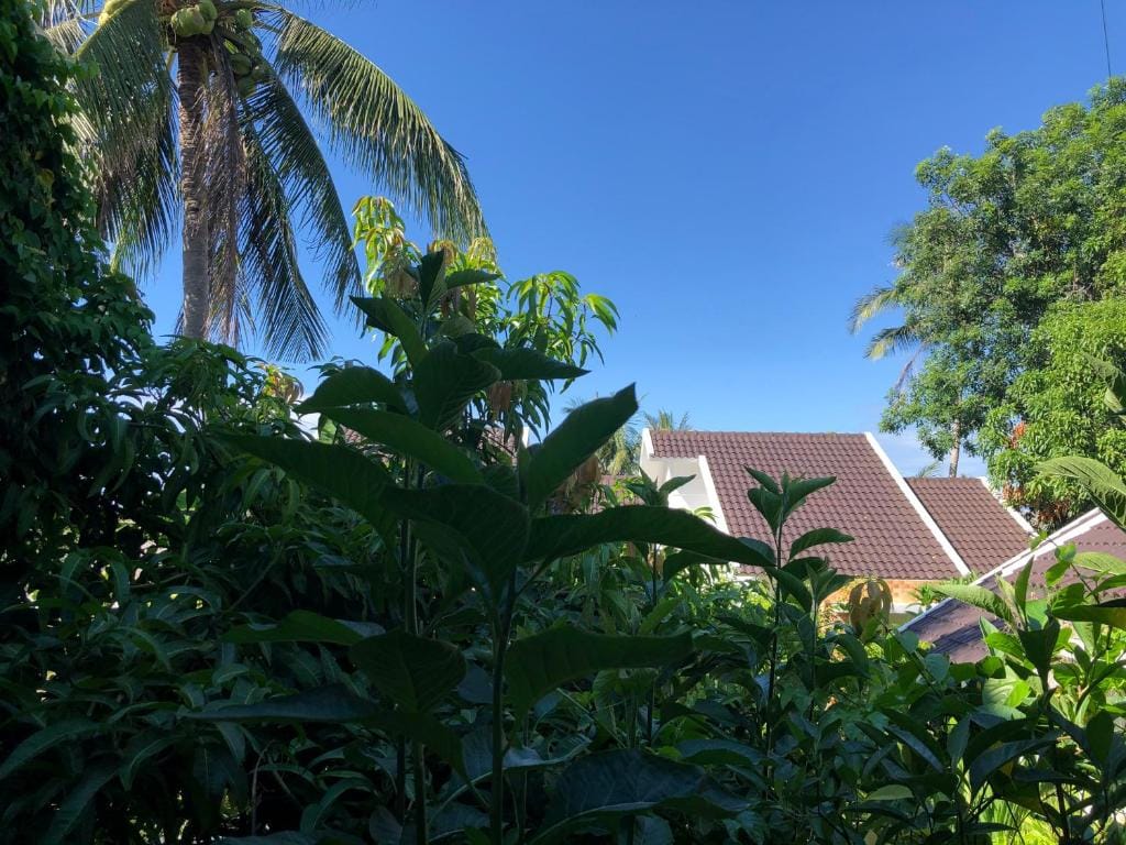 Hoàng Ngọc's House — 3